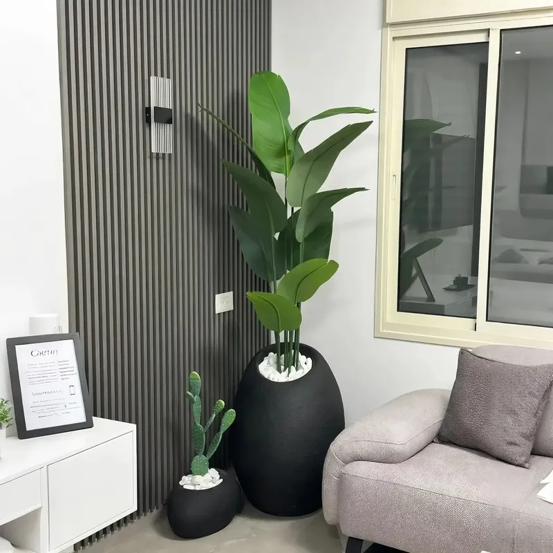 Ciptakan Oasis Anda: Pohon Bon - Interior Design Your Home ulasan dan harga